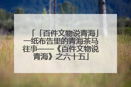 「百件文物说青海」一纸布告里的青海茶马往事——《百件文物说青海》之六十五