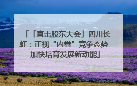 「直击股东大会」四川长虹：正视“内卷”竞争态势 加快培育发展新动能