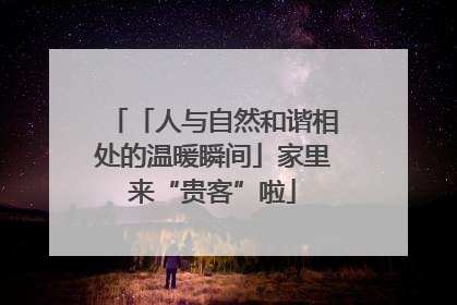 「人与自然和谐相处的温暖瞬间」家里来“贵客”啦