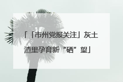 「市州党报关注」灰土渣里孕育新“硒”望