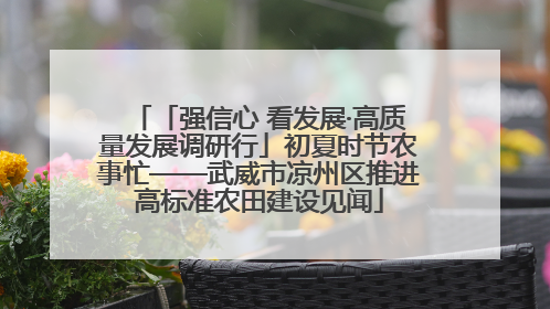 「强信心 看发展·高质量发展调研行」初夏时节农事忙——武威市凉州区推进高标准农田建设见闻