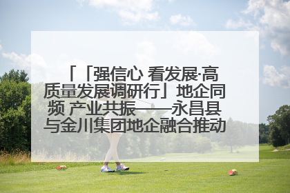 「强信心 看发展·高质量发展调研行」地企同频 产业共振——永昌县与金川集团地企融合推动重大项目建设