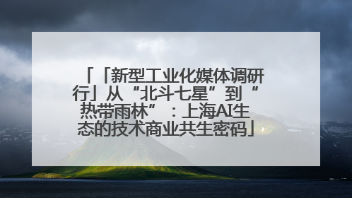 「新型工业化媒体调研行」从“北斗七星”到“热带雨林”：上海AI生态的技术商业共生密码