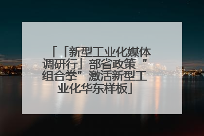 「新型工业化媒体调研行」部省政策“组合拳”激活新型工业化华东样板