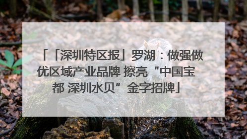 「深圳特区报」罗湖：做强做优区域产业品牌 擦亮“中国宝都 深圳水贝”金字招牌