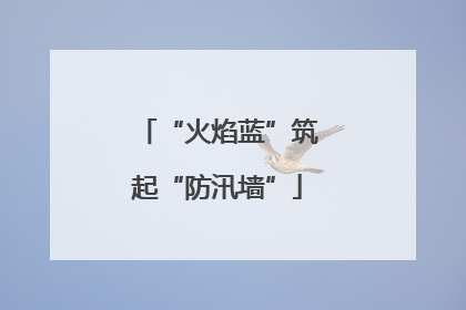 “火焰蓝”筑起“防汛墙”