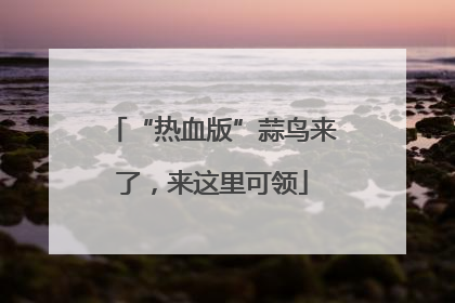 “热血版”蒜鸟来了，来这里可领