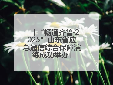 “畅通齐鲁·2025”山东省应急通信综合保障演练成功举办