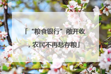 “粮食银行”敞开收，农民不再愁存粮