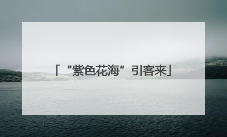 “紫色花海”引客来