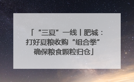 “三夏”一线丨肥城：打好夏粮收购“组合拳” 确保粮食颗粒归仓