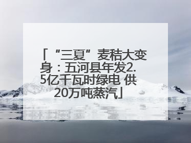 “三夏”麦秸大变身：五河县年发2.5亿千瓦时绿电 供20万吨蒸汽