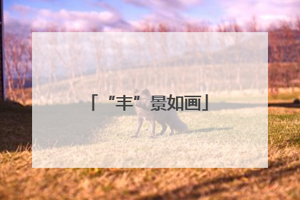 “丰”景如画
