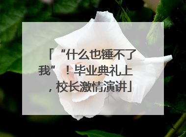 “什么也锤不了我”！毕业典礼上，校长激情演讲