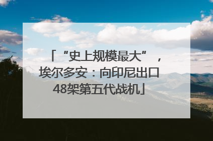 “史上规模最大”，埃尔多安：向印尼出口48架第五代战机