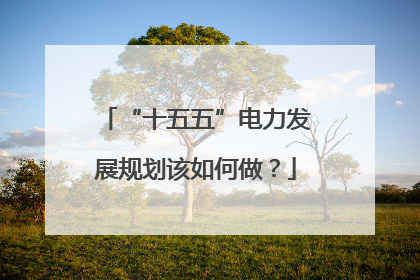 “十五五”电力发展规划该如何做？
