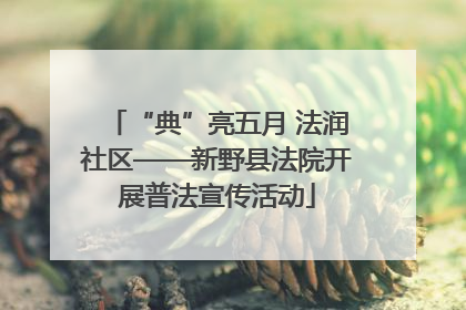 “典”亮五月 法润社区——新野县法院开展普法宣传活动