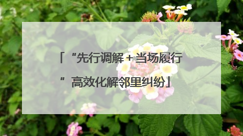 “先行调解＋当场履行”高效化解邻里纠纷