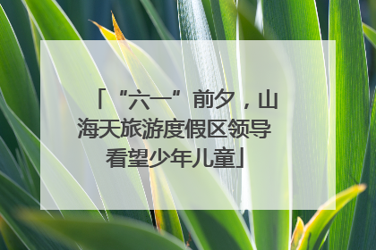 “六一”前夕，山海天旅游度假区领导看望少年儿童
