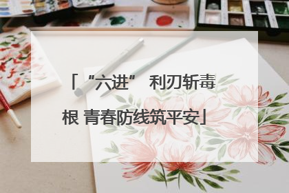 “六进” 利刃斩毒根 青春防线筑平安