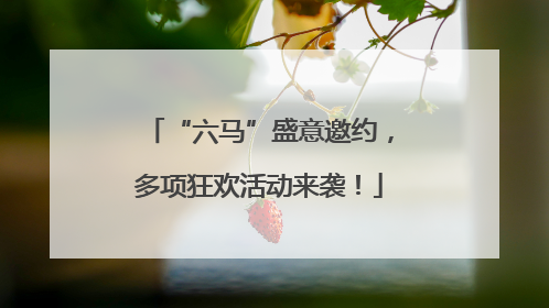 “六马”盛意邀约，多项狂欢活动来袭！
