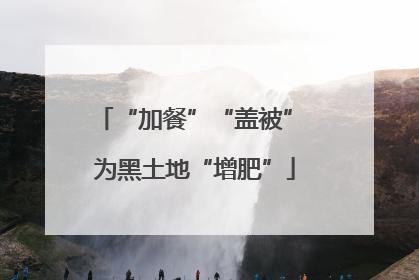 “加餐”“盖被” 为黑土地“增肥”