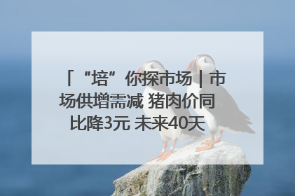 “培”你探市场｜市场供增需减 猪肉价同比降3元 未来40天便宜猪肉敞开吃