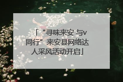 “寻味来安 与v同行”来安县网络达人采风活动开启