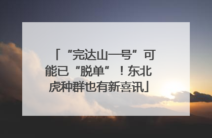 “完达山一号”可能已“脱单”！东北虎种群也有新喜讯