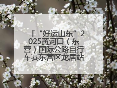 “好运山东”2025黄河口（东营）国际公路自行车赛东营区龙居站 完美“抄作业”，苦战最后时刻黄衫易主