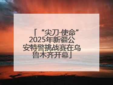 “尖刀·使命”2025年新疆公安特警挑战赛在乌鲁木齐开幕