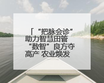 “把脉会诊”助力智慧田管 “数智”良方夺高产 农业焕发新活力
