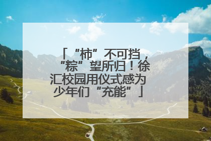 “柿”不可挡，“粽”望所归！徐汇校园用仪式感为少年们“充能”