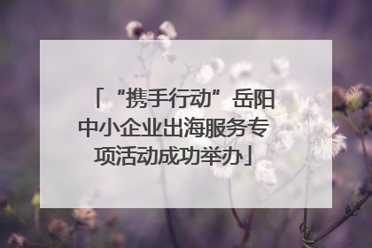 “携手行动”岳阳中小企业出海服务专项活动成功举办