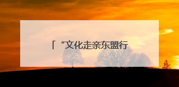 “文化走亲东盟行”再赴越南 广西邕剧粤韵展魅力