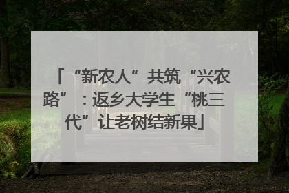 “新农人”共筑“兴农路”：返乡大学生“桃三代”让老树结新果