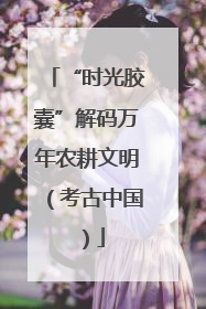 “时光胶囊”解码万年农耕文明（考古中国）