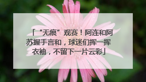 “无痕”观赛！阿连和阿苏握手言和，球迷们挥一挥衣袖，不留下一片云彩