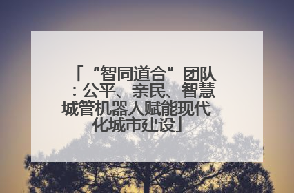 “智同道合”团队：公平、亲民、智慧城管机器人赋能现代化城市建设