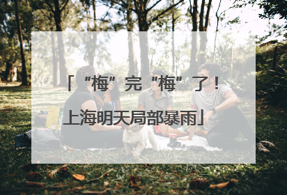 “梅”完“梅”了！上海明天局部暴雨