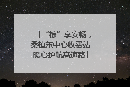 “棕”享安畅，桑植东中心收费站暖心护航高速路