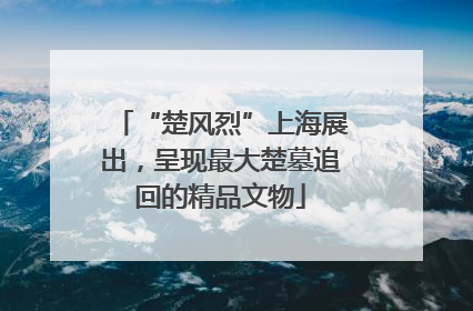 “楚风烈”上海展出，呈现最大楚墓追回的精品文物