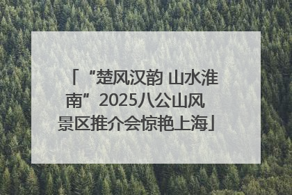 “楚风汉韵 山水淮南”2025八公山风景区推介会惊艳上海