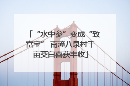 “水中参”变成“致富宝” 南漳八泉村千亩茭白喜获丰收