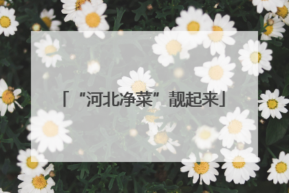“河北净菜”靓起来