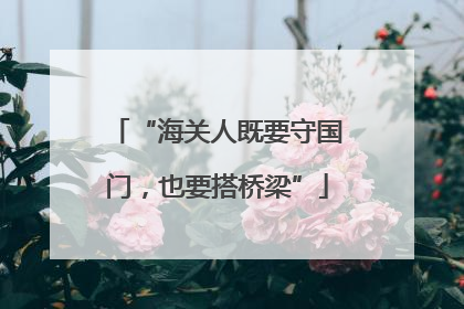 “海关人既要守国门，也要搭桥梁”