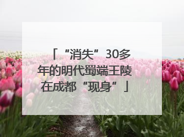 “消失”30多年的明代蜀端王陵在成都“现身”