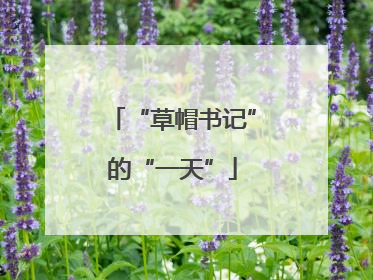 “草帽书记”的“一天”