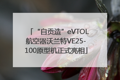 “自贡造”eVTOL航空器沃兰特VE25-100原型机正式亮相