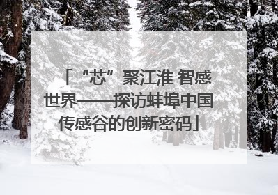 “芯”聚江淮 智感世界——探访蚌埠中国传感谷的创新密码